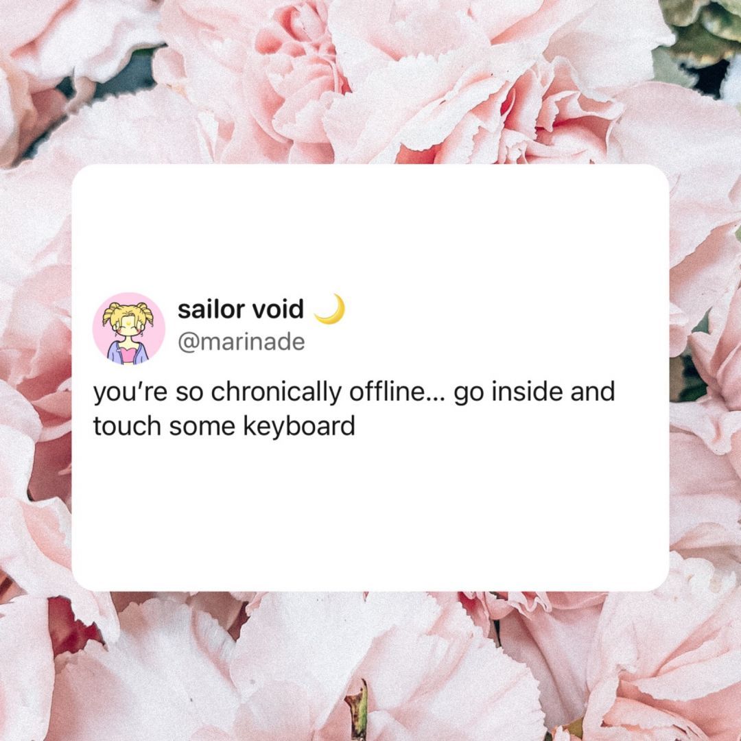 „You’re so chronically offline… go inside and tpuch some keyboard“