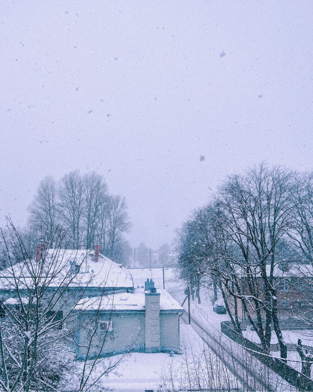 snowy rooftops and trees, it’s also snowing and the snowflakes are big and fluffy